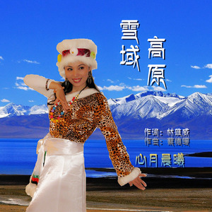 雪域高原封面