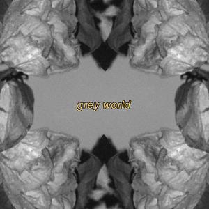 grey world (Explicit)