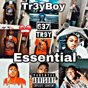 The Essential Tr3yBoy (Explicit)