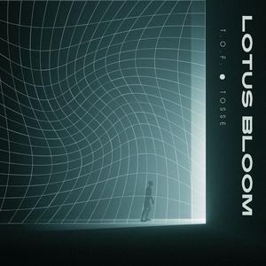 Lotus Bloom (feat. Tosse)