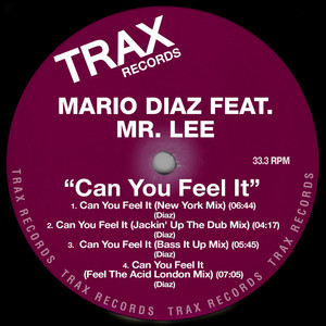 Can You Feel It (New York Mix)
