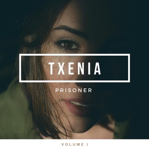 Prisoner, Vol. 1