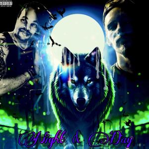 Night & day (feat. Tazz wolf) (Explicit)