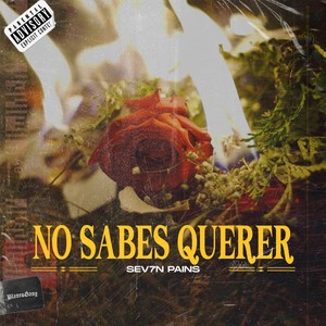 No Sabes Querer (Explicit)