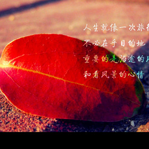 你是我心中的宝