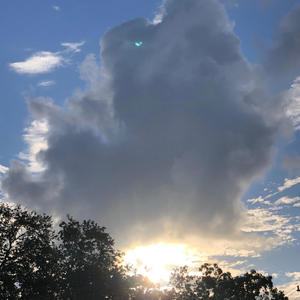 Allahmon Solomon - MSD (MERKABA SUICIDE DOORS) (Explicit)