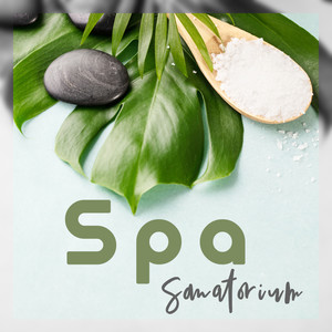 Spa Sanatorium: Relaxing Music with Healing Properties for Self-healing and Therapy