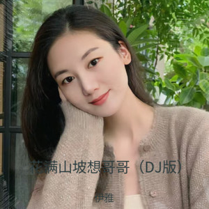 伊雅 - 花满山坡想哥哥 (DJ版)