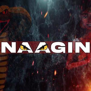 NAAGIN (Explicit)