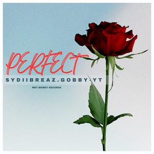 Perfect (feat. Sydiibreaz)