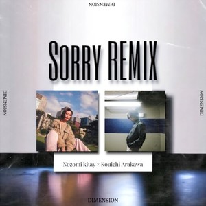 Sorry (feat. Kouichi Arakawa) (Remix)