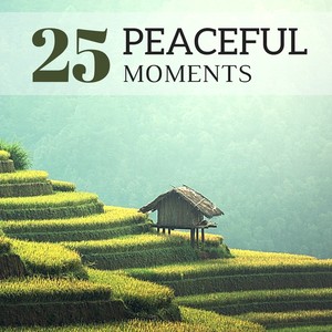 25 Peaceful Moments - Tranquil Piano Music for Quiet Relaxation, Emotional Sound Therapy