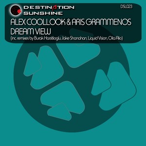 Dream View (Oila Alio Remix)