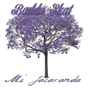 Mi Jacaranda