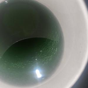 FREE DRAKO (feat. Lil nine) (Explicit)