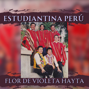 Flor De Violeta Hayta