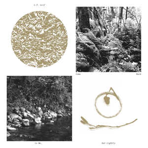 The Brightest Part Of The Room