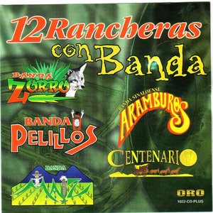 12 Rancheras con Banda