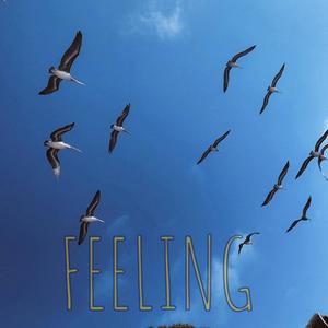 Feeling