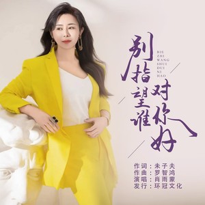 别指望谁对你好 (DJ彭锐版)封面