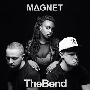 Magnet