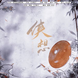 侠想