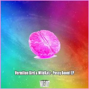 ***** Boom! (Pucho Mastermix Remix)