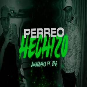 PERREO HECHIZO (feat. BRG)