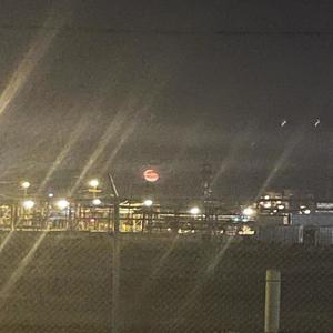 Lust Is Not Love (Slowed+Reverb)