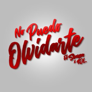 No Puedo Olvidarte