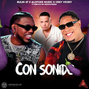 BULIN 47 CON SONIDO