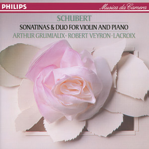 Sonatina for Violin and Piano No. 1 in D, D.384 - 2. Andante