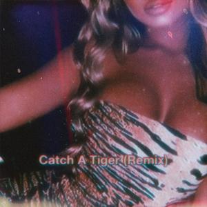 Catch A Tiger (feat. King Cullen M. & MBK Cal) [Remix] [Explicit]