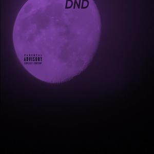 D.N.D. (Company) [Explicit]