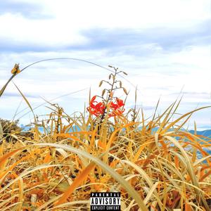 Winter Mood(Feat. Joy Fact, Lil RUde587, $unday)