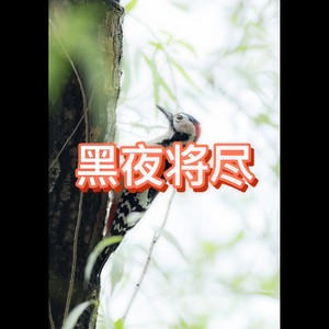 色即是空 (真实版)