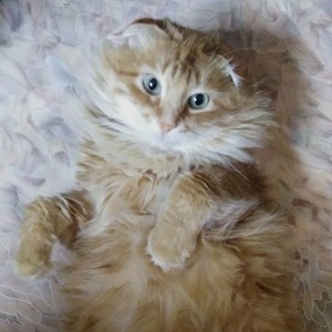 Глаза (Explicit)