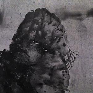 ATTENTION. (Explicit)