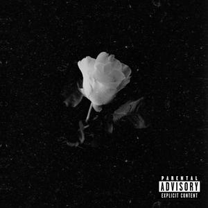 We Don't Trust You (feat. 420 Shaggy & LilBane) (Explicit)