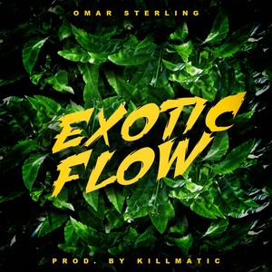 Exotic Flow (Explicit)