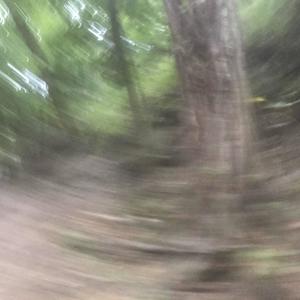 Underdog (feat. Poshtherapper) (Explicit)