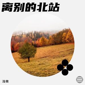 离别的北站