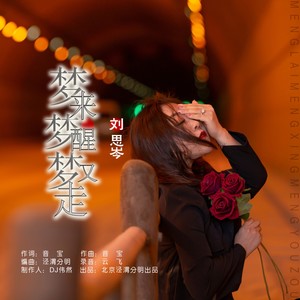 梦来梦醒梦又走 (DJ伟然版伴奏)