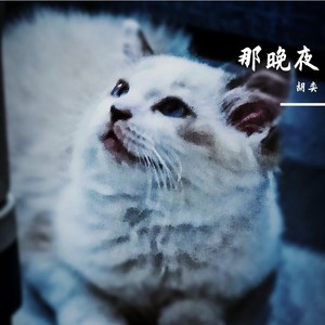 那晚夜