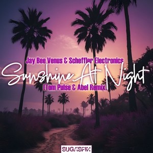 Sunshine At Night (Tom Pulse & Abel Extended Remix)