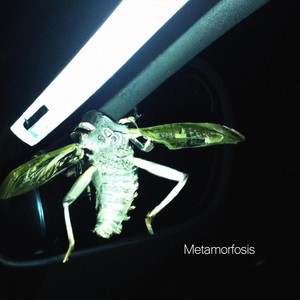 Metamorfosis (Explicit)