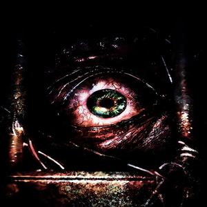 5 percent (Explicit)