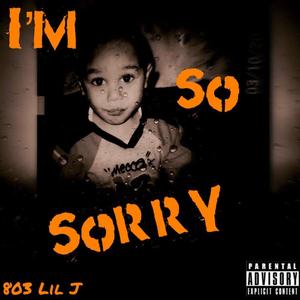 I'm So Sorry (Explicit)