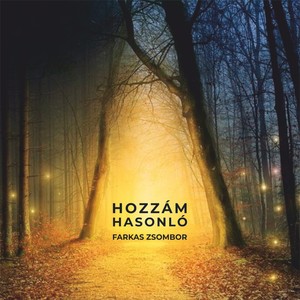 Hozzám Hasonló