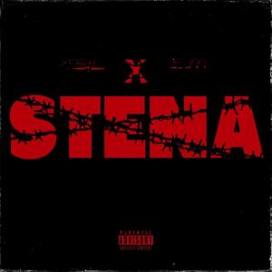 Stena (feat. SM) [Explicit]